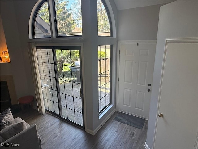 1173 Red Tail Hawk Ct Unit 4, Youngstown, OH 44512 - doorway to outside with baseboards, plenty of natural light, and wood finished floors