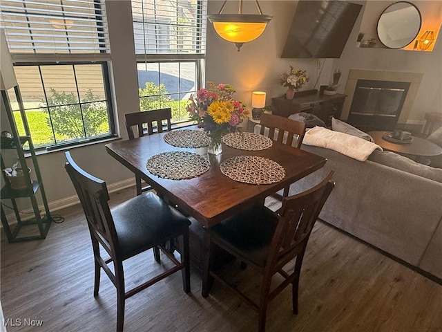 1173 Red Tail Hawk Ct Unit 4, Youngstown, OH 44512 - dining area featuring baseboards and wood finished floors