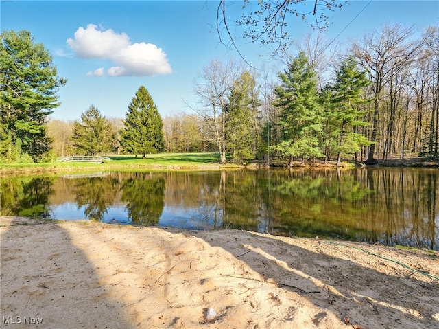 water view featuring a view of trees