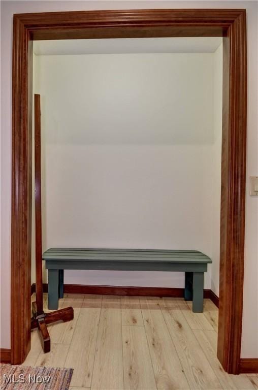 1423 N Wooster Ave, Dover, OH 44622 - mudroom with baseboards and light wood-style floors