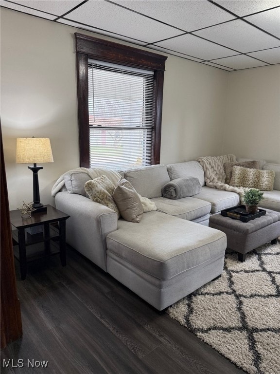 living area featuring a paneled ceiling and dark wood-type flooring