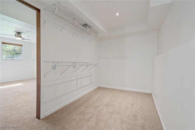 6414 Glenallen Ave, Solon, OH 44139 - spacious closet featuring carpet floors