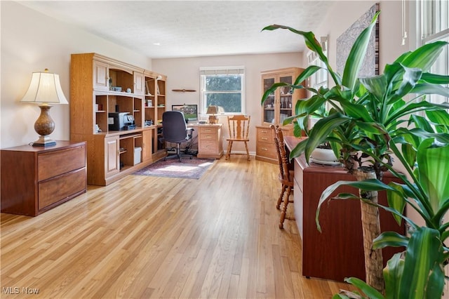 office featuring light wood-style flooring