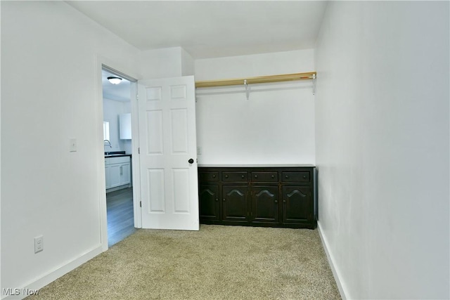 1553 Parkman Rd NW, Warren, OH 44485 - walk in closet with light carpet and a sink