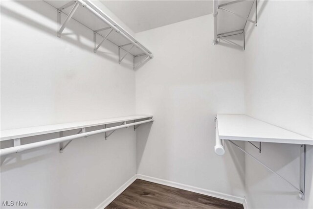 spacious closet featuring dark wood-style floors