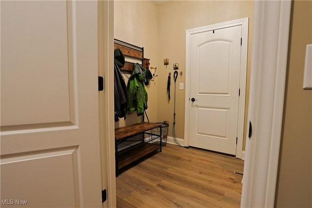 601 Cedar Crest Dr, Elyria, OH 44035 - mudroom featuring light wood finished floors and baseboards