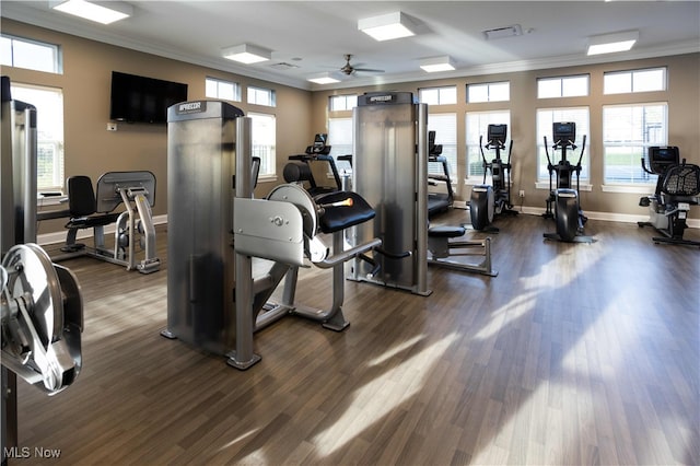 601 Cedar Crest Dr, Elyria, OH 44035 - exercise room featuring crown molding, dark wood finished floors, and a ceiling fan