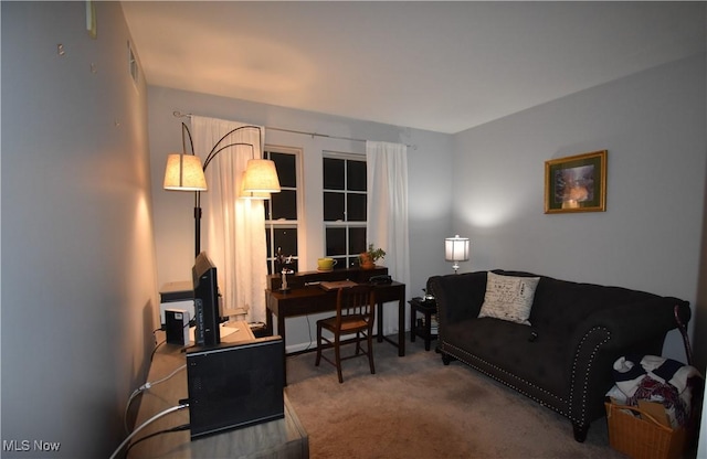 interior space with carpet flooring