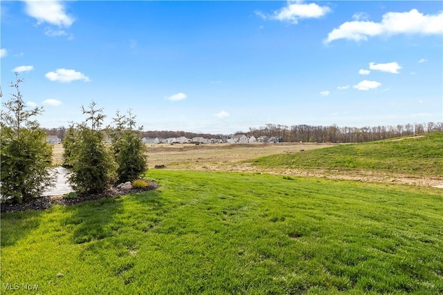view of yard with a rural view