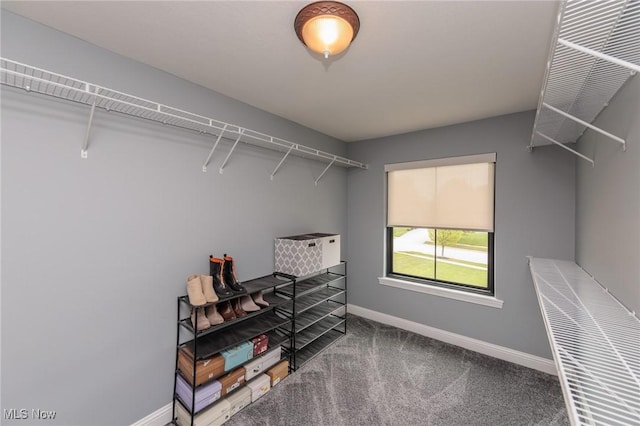 walk in closet featuring carpet