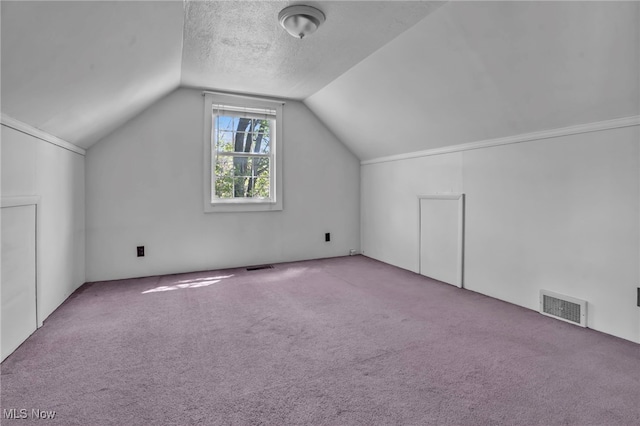 additional living space featuring a textured ceiling, visible vents, lofted ceiling, and carpet