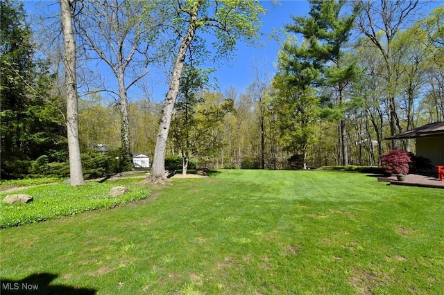 view of yard featuring a wooden deck