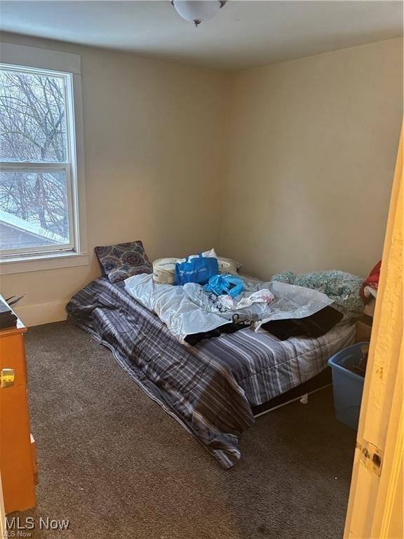 834 Kenyon St, Akron, OH 44311 - view of carpeted bedroom