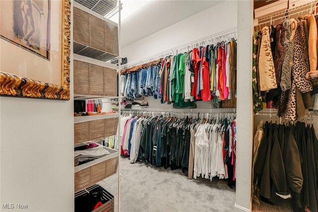 spacious closet featuring carpet floors