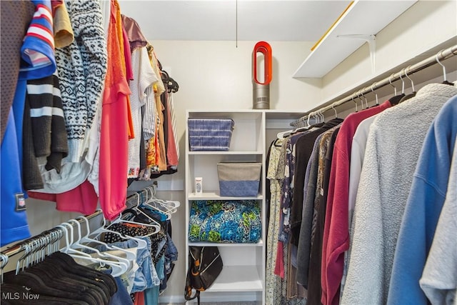 view of walk in closet