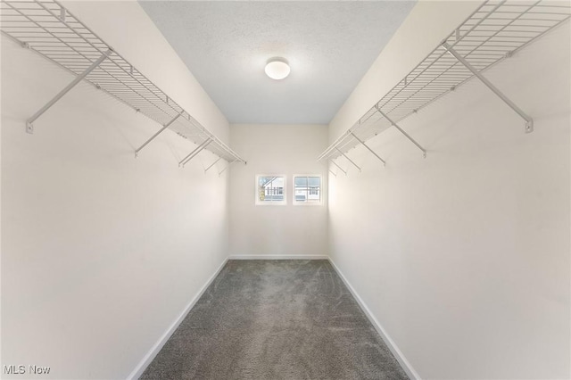 spacious closet with carpet flooring