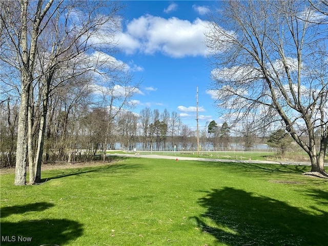 1218 Ohltown Mcdonald Rd, Mineral Ridge, OH 44440 - view of grassy yard with a water view