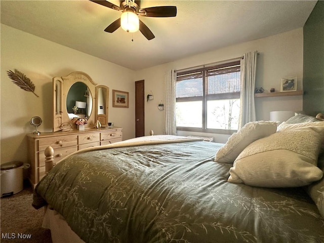 1218 Ohltown Mcdonald Rd, Mineral Ridge, OH 44440 - bedroom featuring carpet and ceiling fan