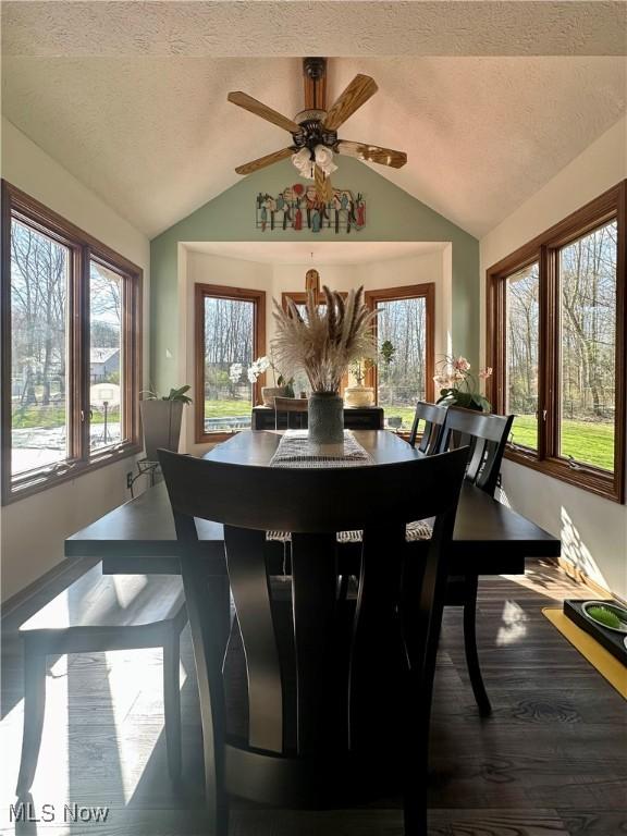 dining room with baseboards, wood finished floors, and lofted ceiling