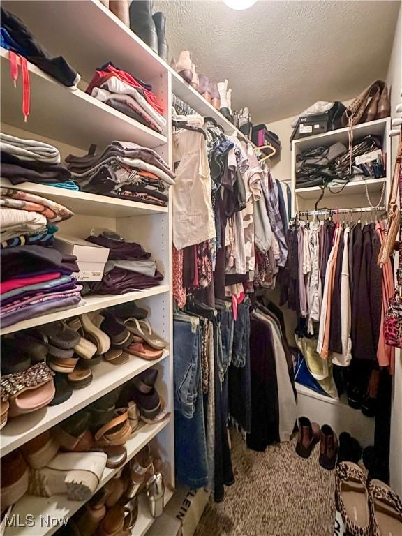 view of spacious closet