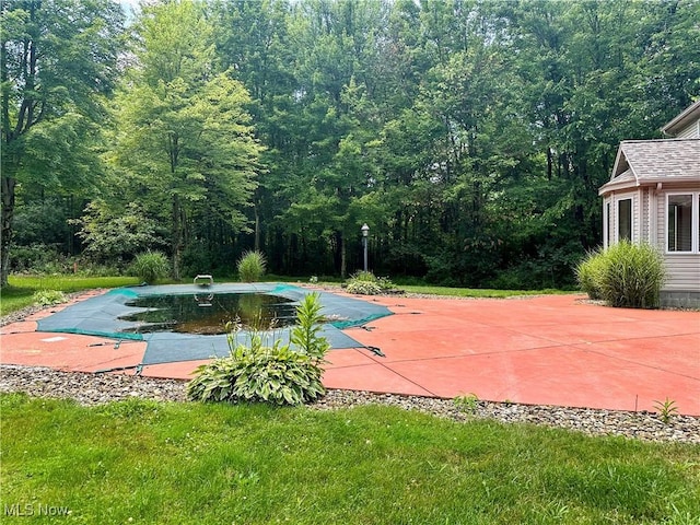 1218 Ohltown Mcdonald Rd, Mineral Ridge, OH 44440 - view of swimming pool featuring a covered pool, a patio area, a diving board, and a view of trees