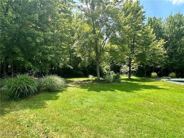 1218 Ohltown Mcdonald Rd, Mineral Ridge, OH 44440 - view of green lawn with a view of trees