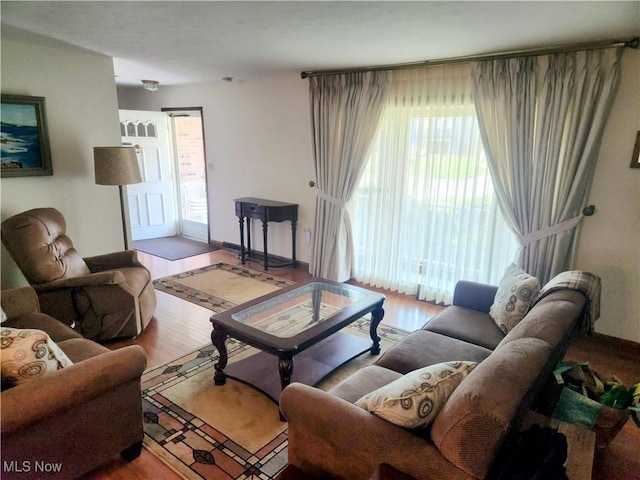 living room featuring wood finished floors