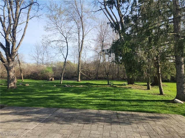 view of home's community featuring a yard
