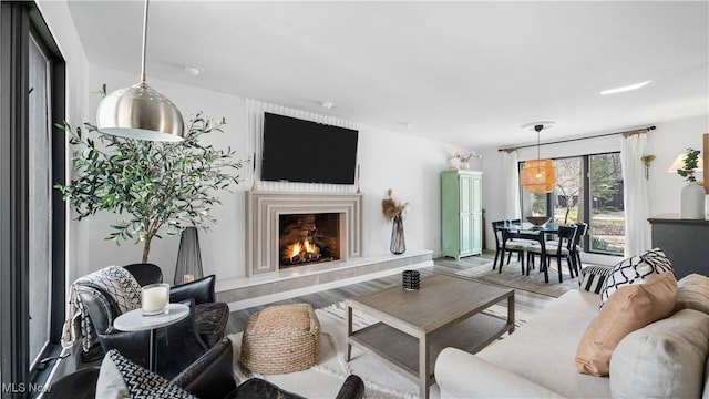 living area featuring wood finished floors and a warm lit fireplace
