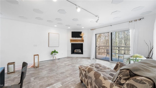 living area featuring a fireplace, rail lighting, and wood finished floors