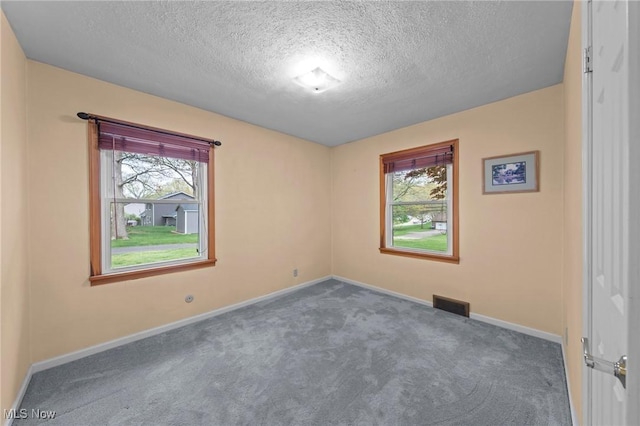 spare room with carpet floors, plenty of natural light, a textured ceiling, and visible vents