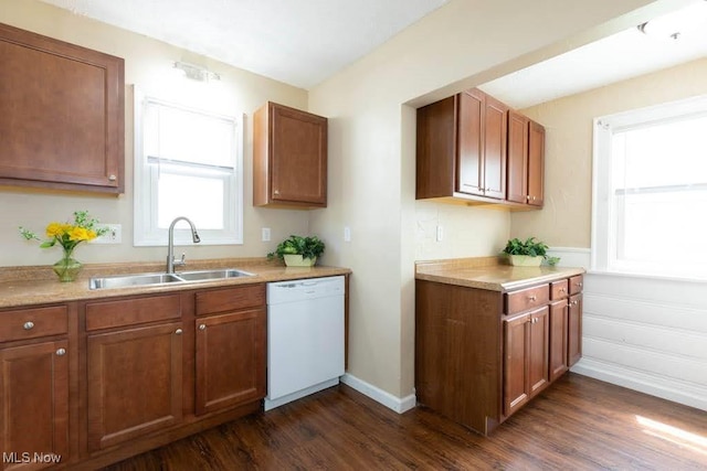 kitchen with brown cabinetry, white dishwasher, light countertops, a sink, and dark wood-style floors