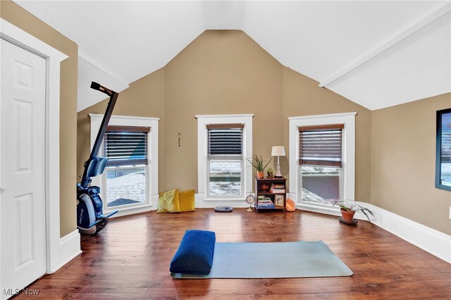 exercise area featuring plenty of natural light, lofted ceiling, and wood finished floors