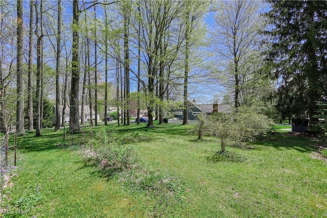 view of yard