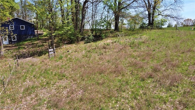 6720 Prior Rd, Nashport, OH 43830 - view of yard