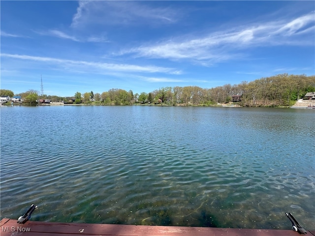 property view of water