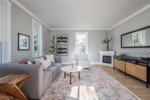 living area featuring light wood-style floors, baseboards, ornamental molding, and a fireplace