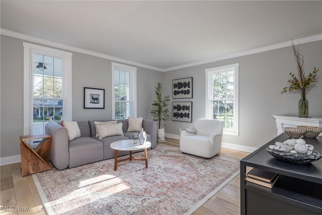 living room with crown molding, baseboards, and light wood-type flooring