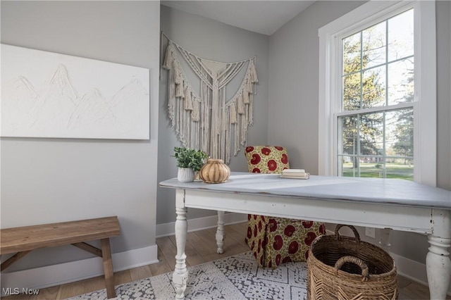 home office featuring baseboards, wood finished floors, and a wealth of natural light