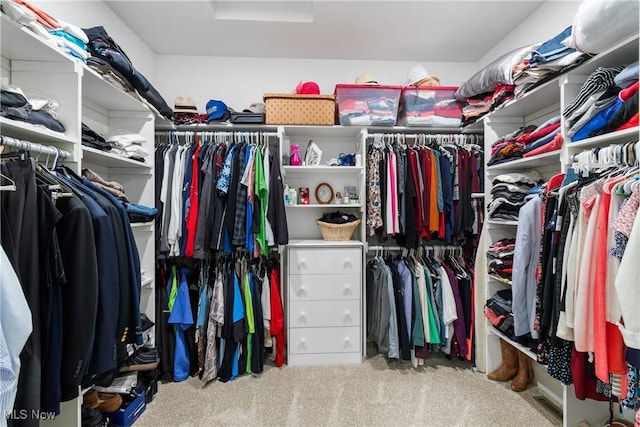 walk in closet with carpet floors