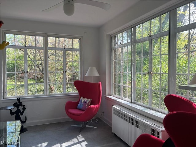 living area with a healthy amount of sunlight, radiator, baseboards, and a ceiling fan