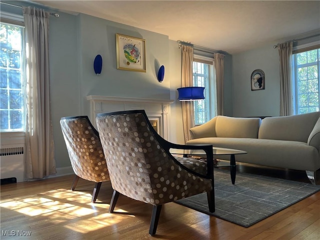 living area with a fireplace, radiator heating unit, and hardwood / wood-style floors