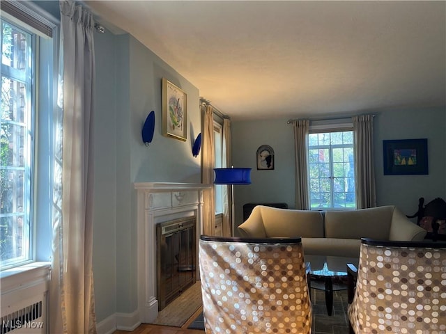 living room featuring a glass covered fireplace and radiator heating unit