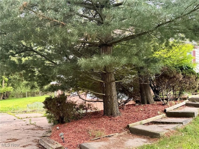 25911 Tryon Rd, Oakwood Village, OH 44146 - view of yard