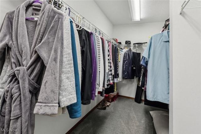 spacious closet featuring carpet floors