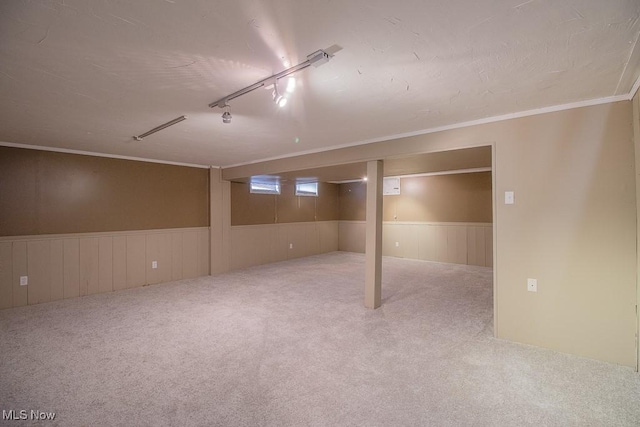 below grade area with carpet floors, wainscoting, and ornamental molding