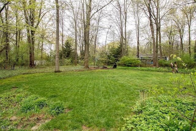 view of yard