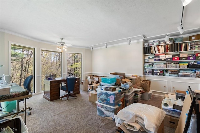 carpeted home office featuring a healthy amount of sunlight, ornamental molding, and rail lighting