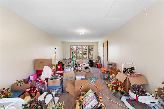 recreation room with carpet