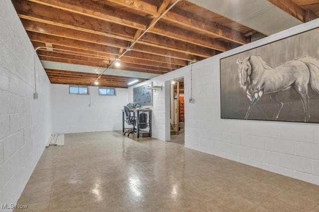 below grade area featuring concrete block wall
